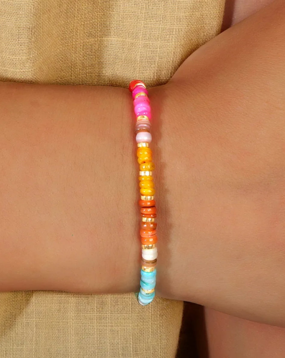 Colorful Stone & Shell Beaded Bracelet