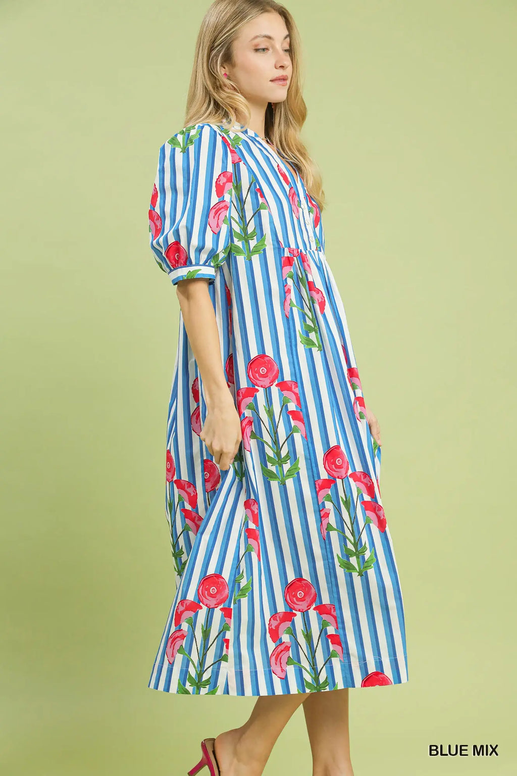 Blue Stripe Floral Midi Dress