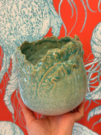 Aqua Planter SMALL