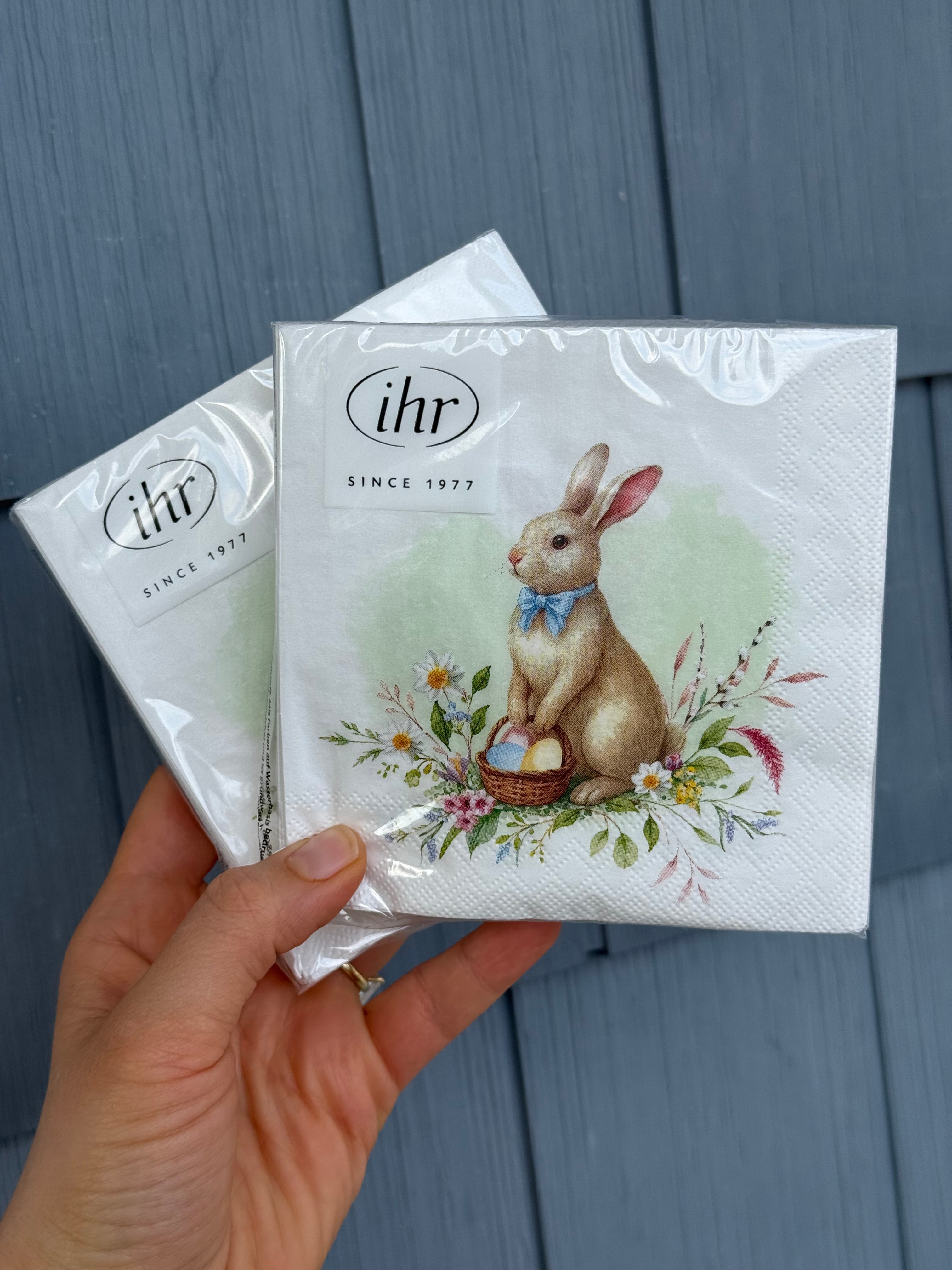 Easter Friend Hopper Paper Cocktail Napkins