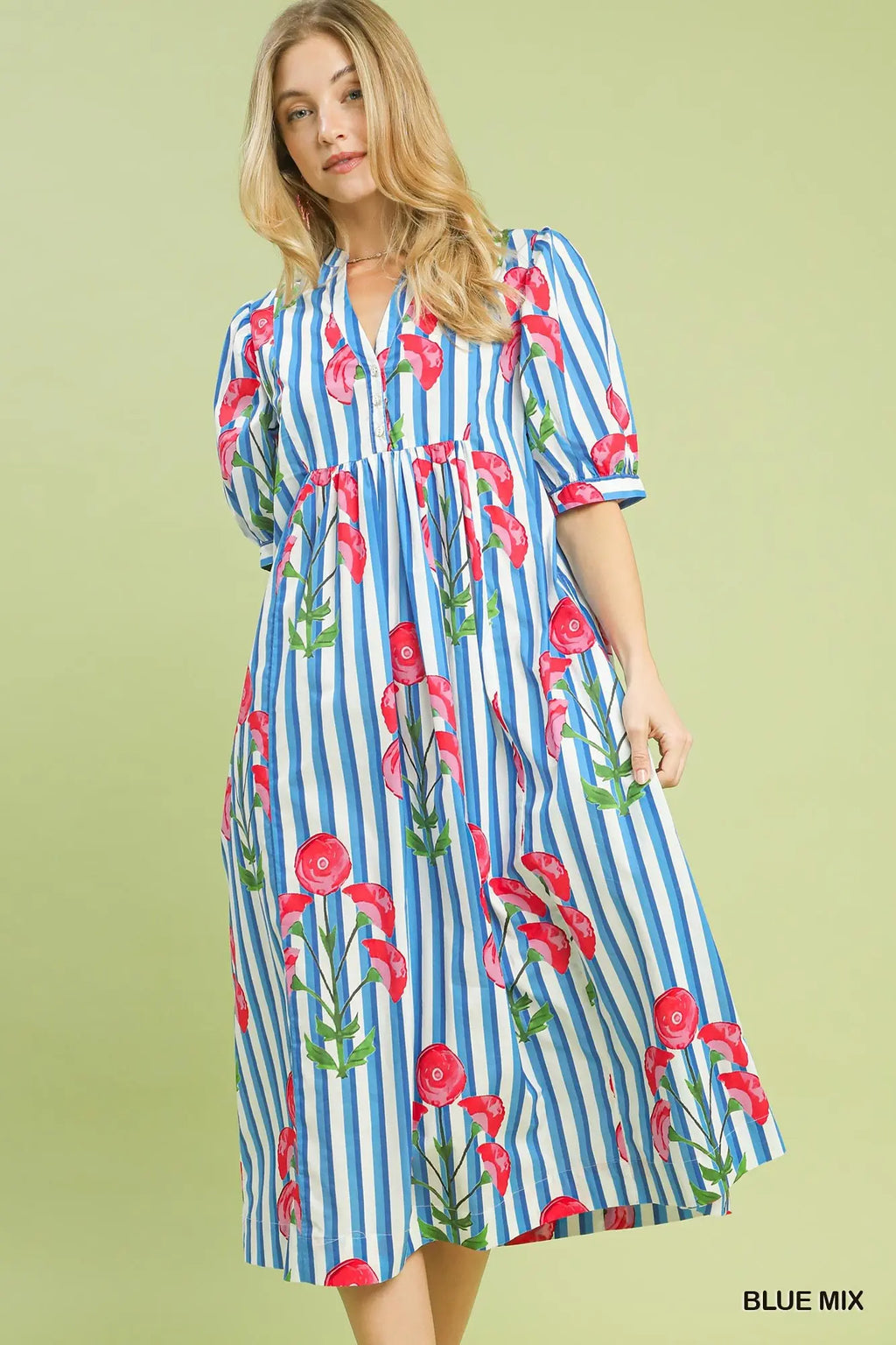Blue Stripe Floral Midi Dress