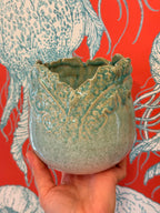 Aqua Planter SMALL