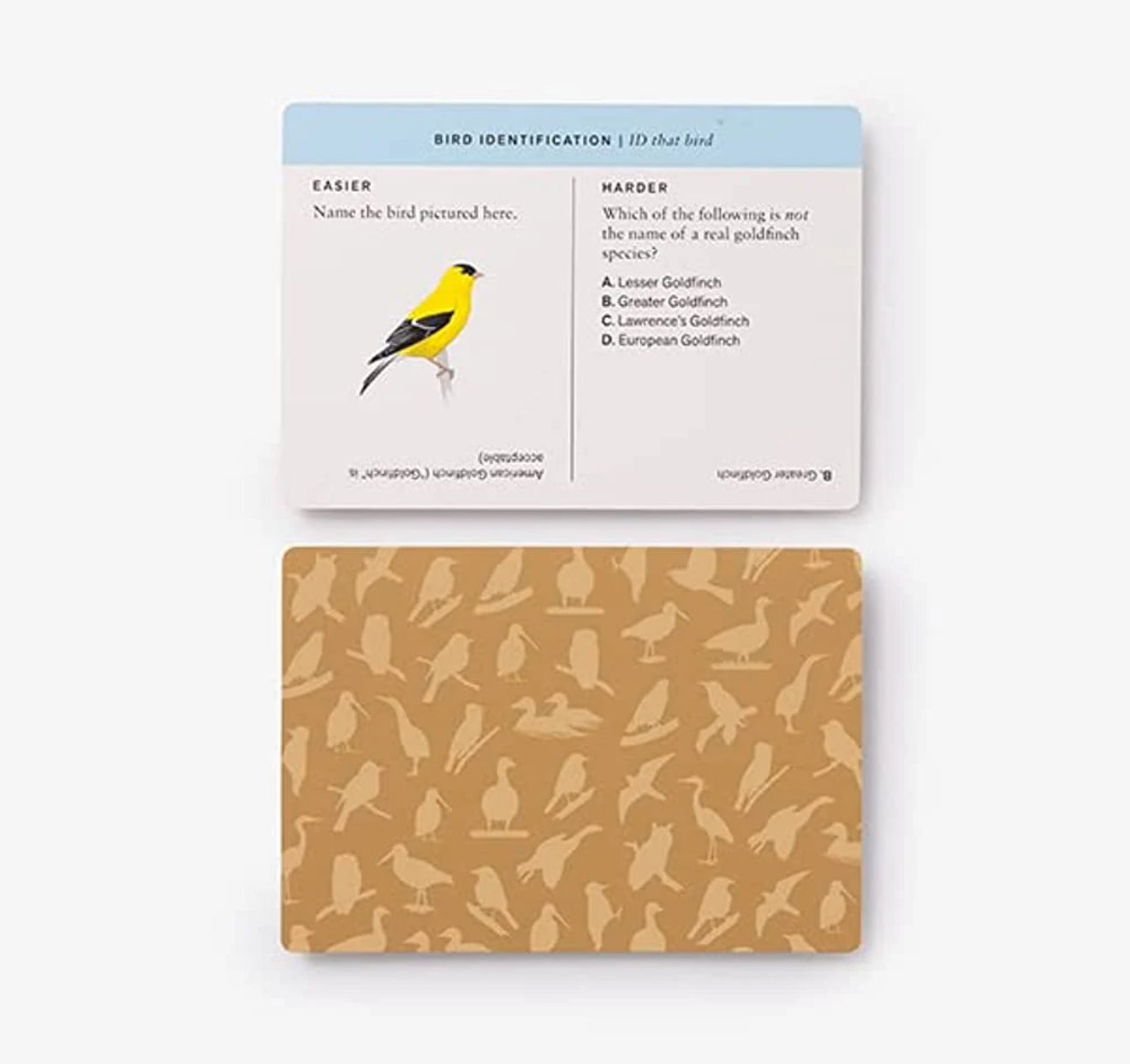 Sibley Birder’s Trivia Card Game
