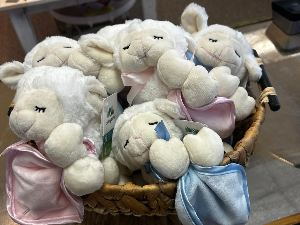 Pray with me Little Lamb- Blue