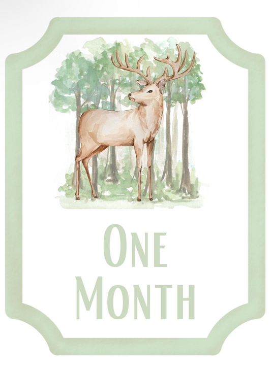 Oh Deer Baby Milestone Cards