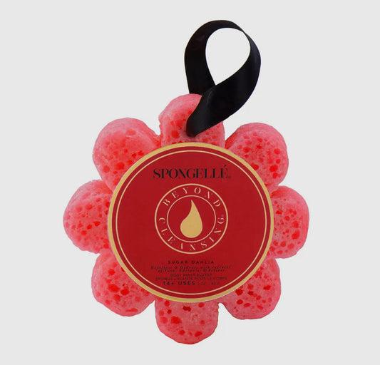 Spongelle Grapefruit Cassis