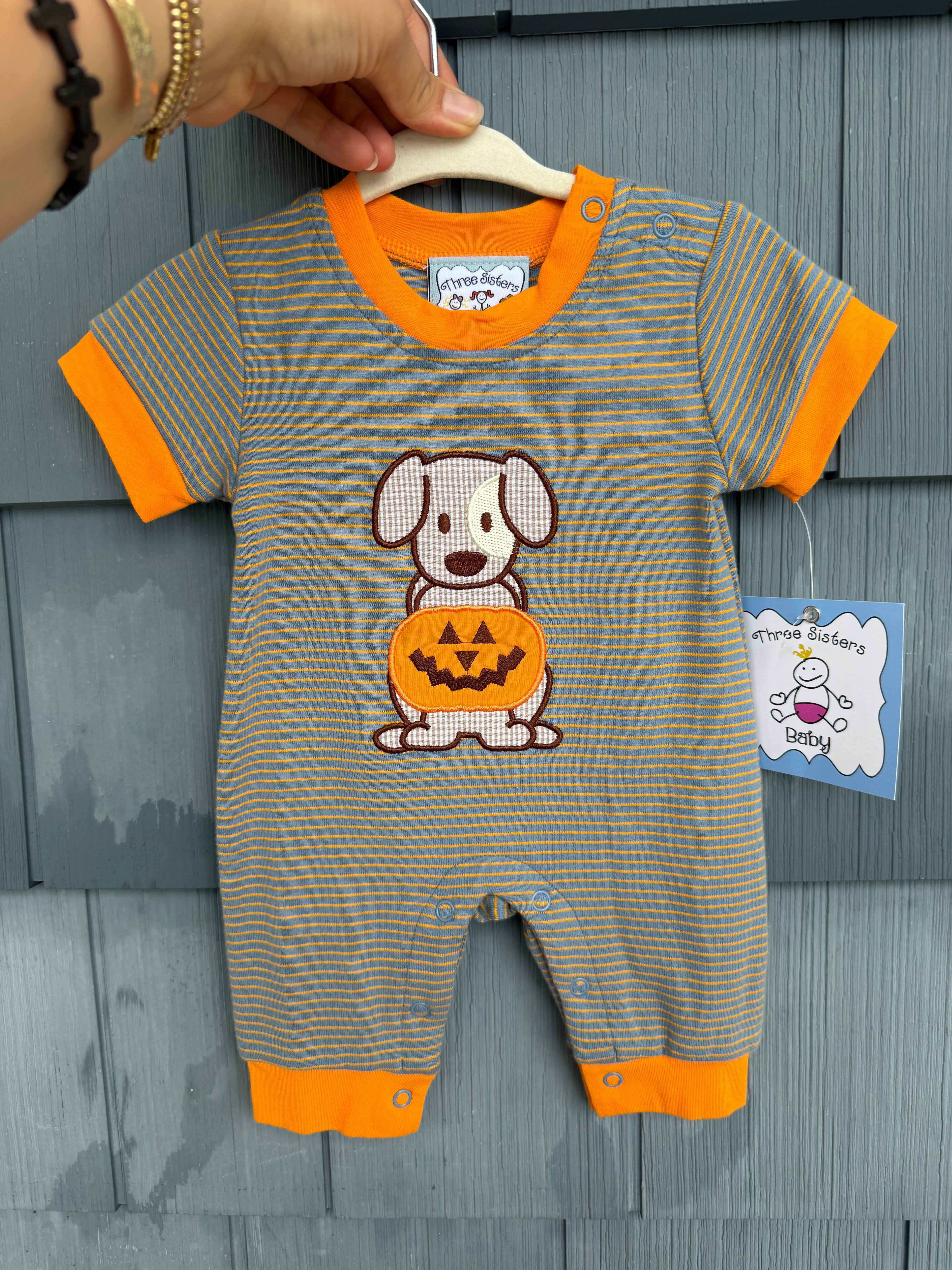 Striped Puppy With Pumpkin Long Romper, Three Sisters