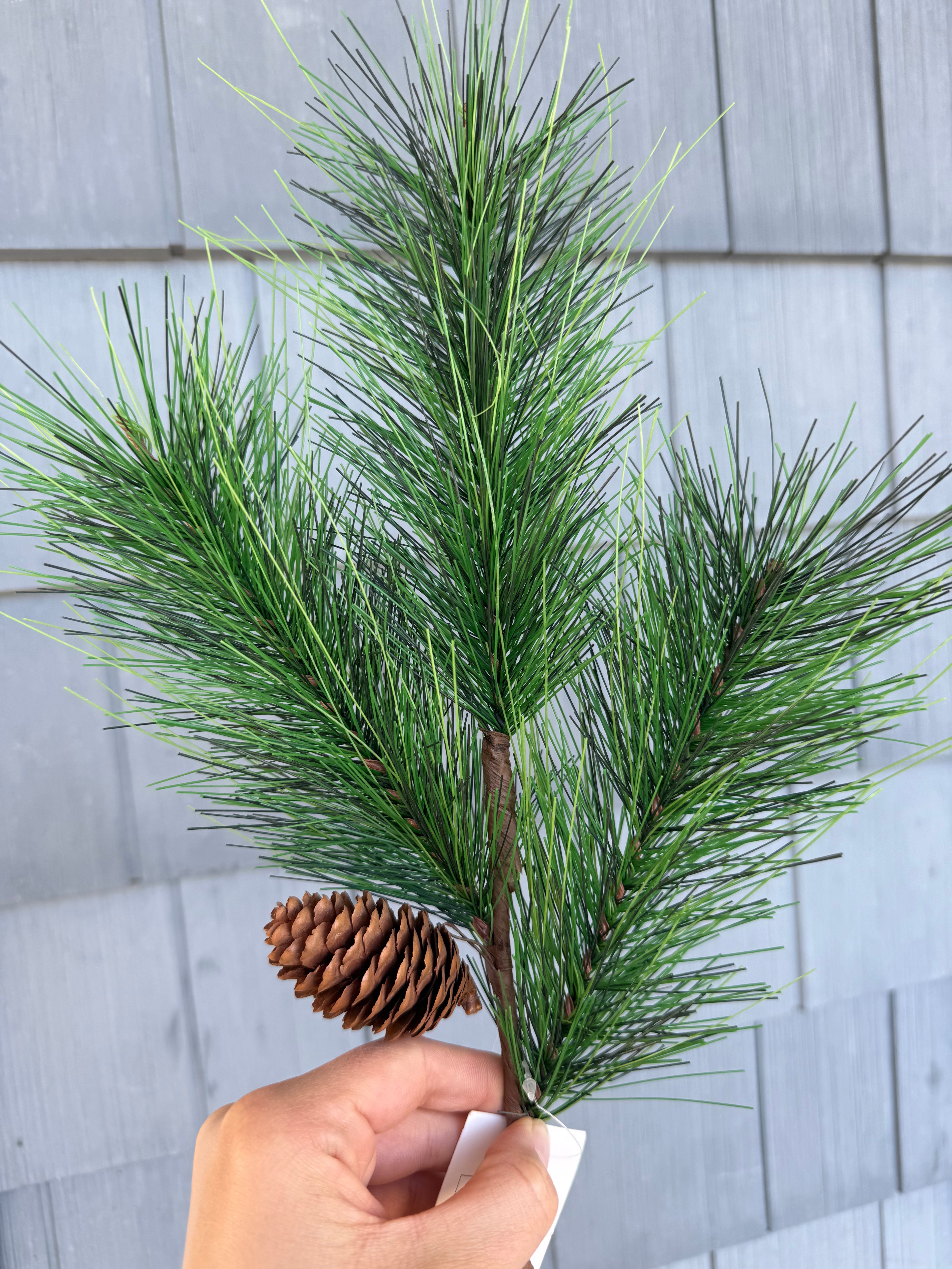 Pine Spray W/pinecone