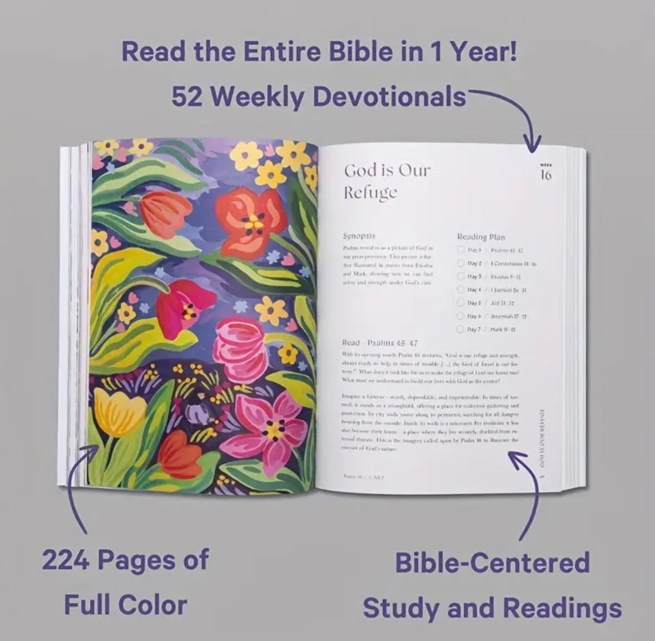 A year in the Bible- 52 week bible study