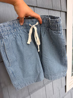 Blue Stripe Elastic Denim Shorts
