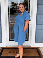 Denim Ruffle Collar Mini Dress