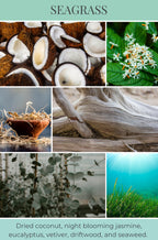 Seagrass Reed Diffuser