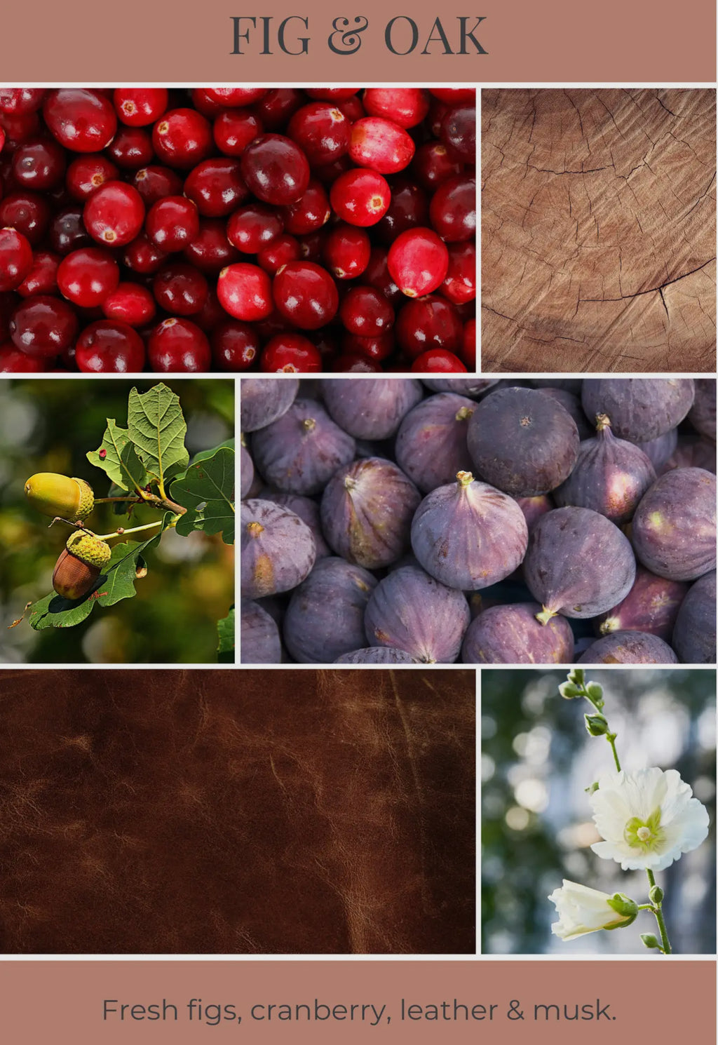 Room & Linen Spray Fig & Oak